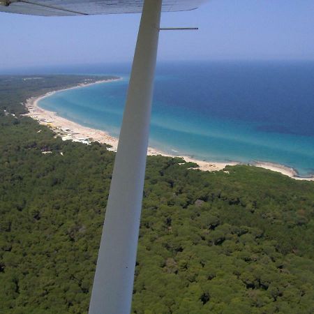 Linda Casa Vacanze Felline Екстериор снимка